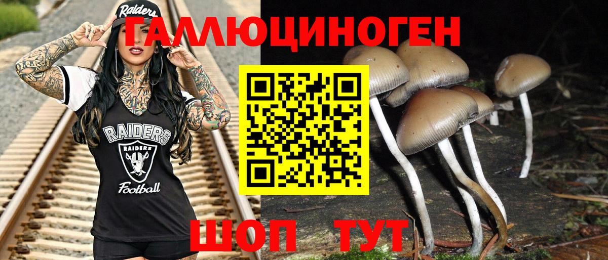 Псилоцибиновые грибы прущие грибы  Вход с VPN  Рязань 